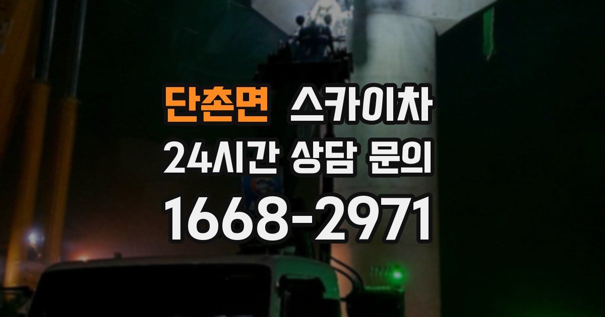 단촌면 스카이차