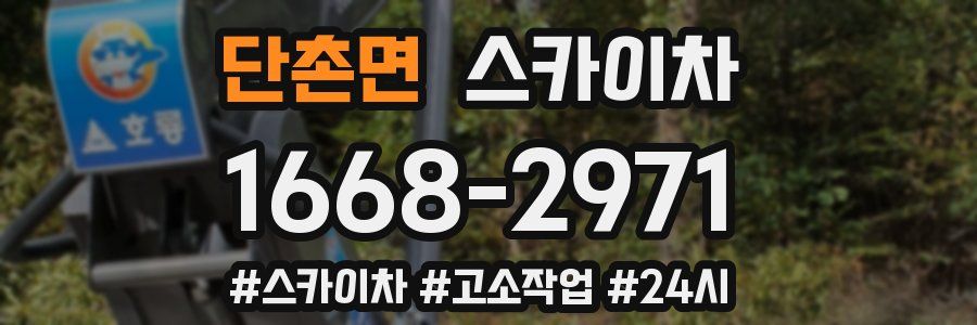 단촌면 스카이차