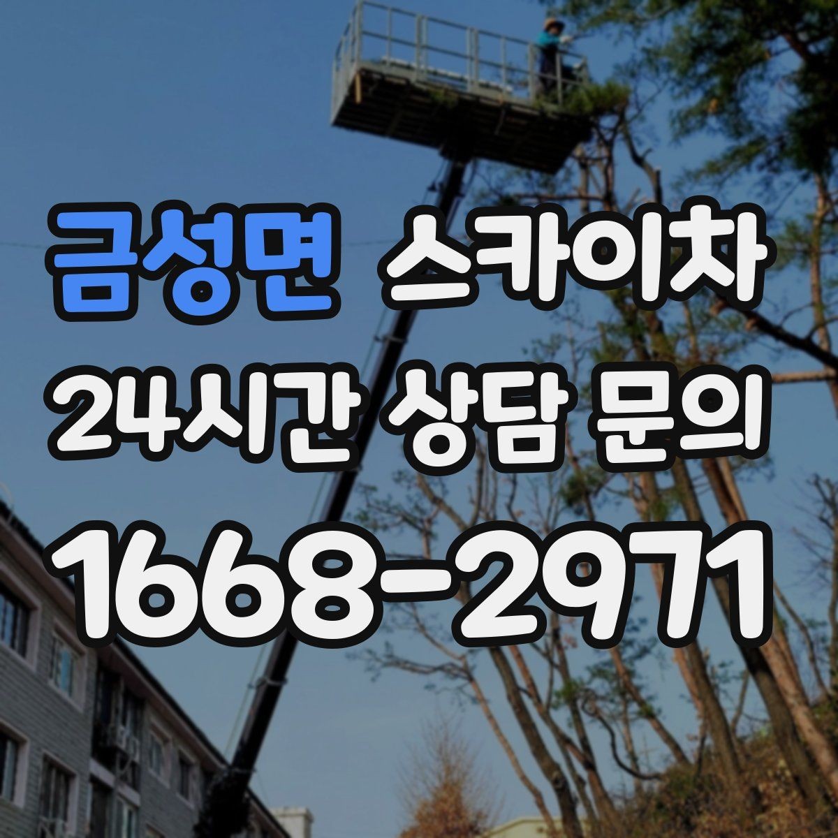 금성면 스카이차 돌출 간판 낙하 위험 예방 점검