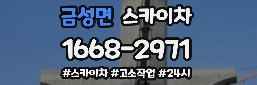 금성면 스카이차