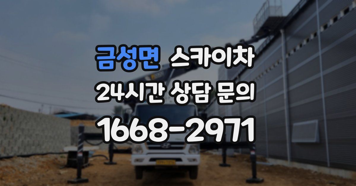 금성면 스카이차