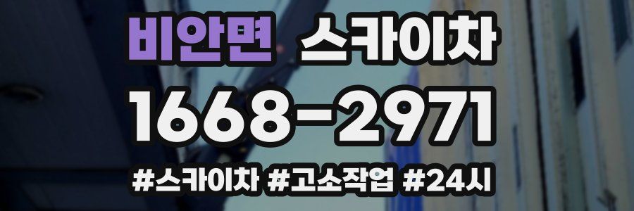 비안면 스카이차