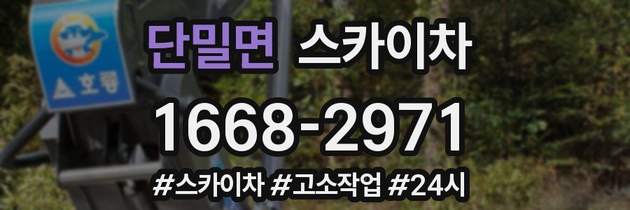 단밀면 스카이차