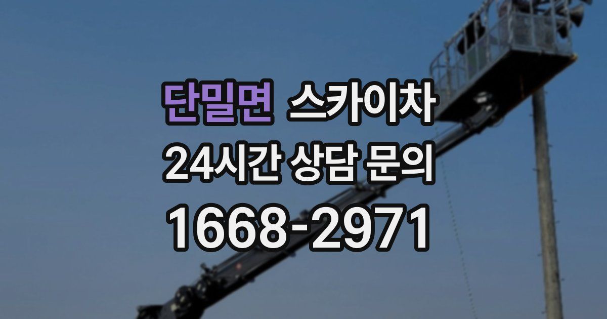 단밀면 스카이차