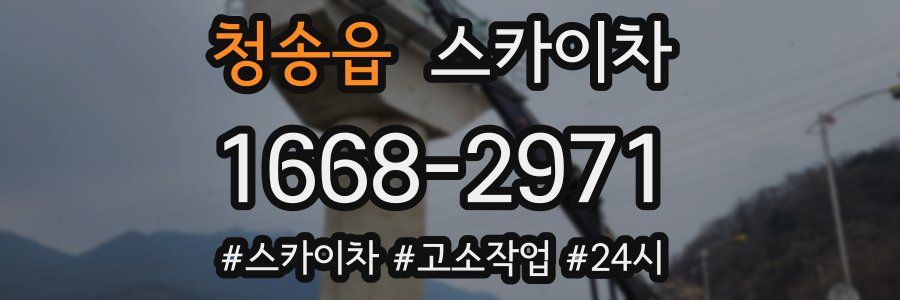 청송읍 스카이차