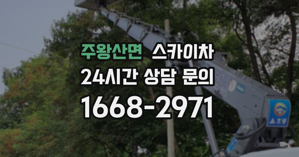 주왕산면 스카이차