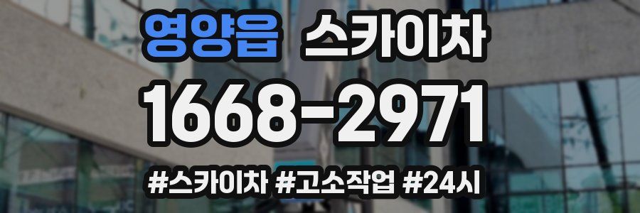 영양읍 스카이차