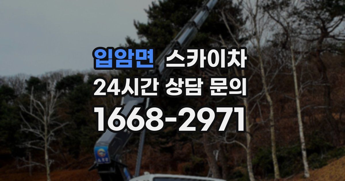 입암면 스카이차