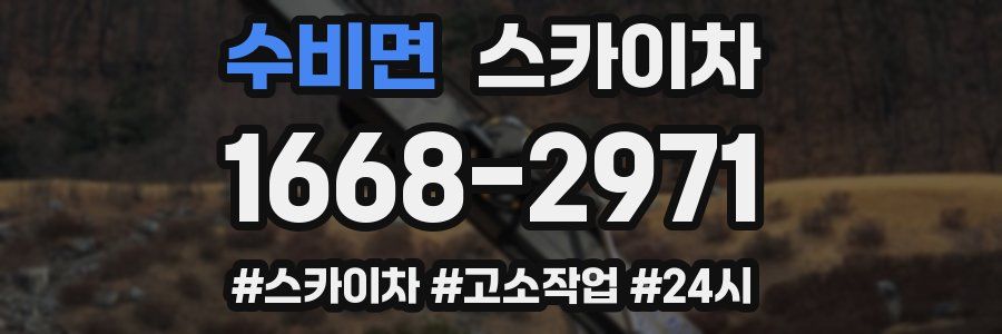 수비면 스카이차