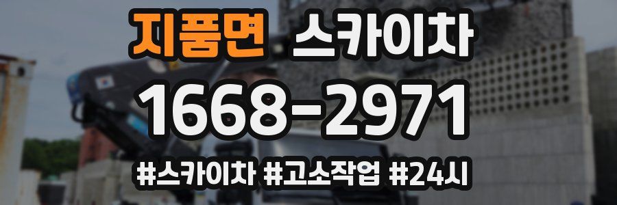 지품면 스카이차