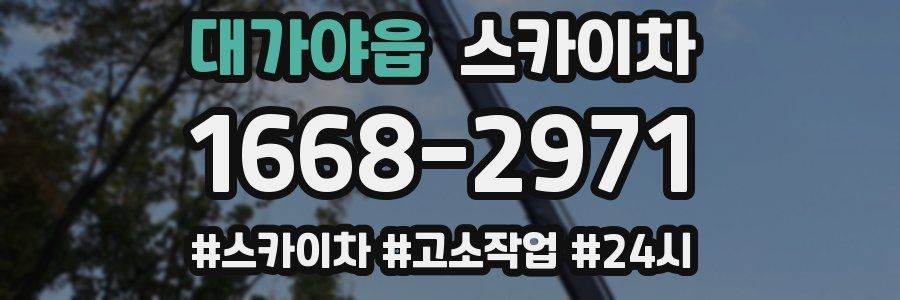 대가야읍 스카이차