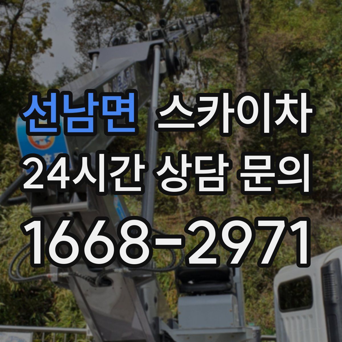 선남면 스카이차