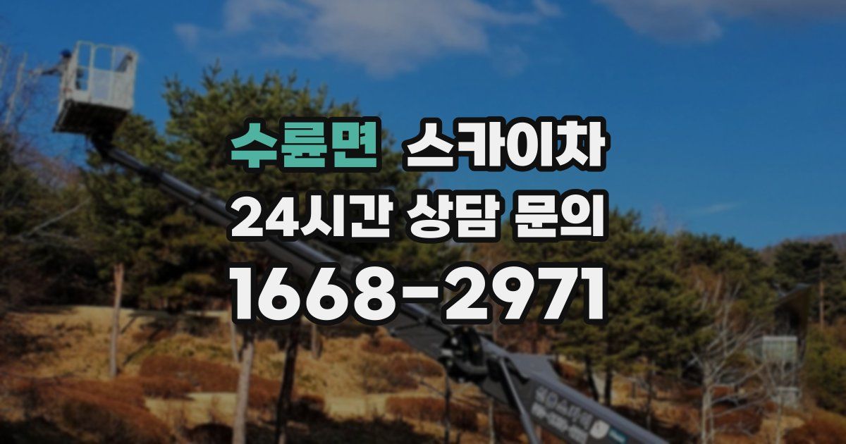 수륜면 스카이차