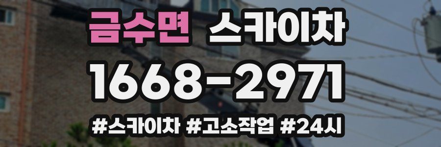 금수면 스카이차