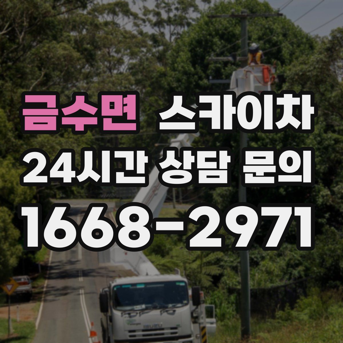 금수면 스카이차