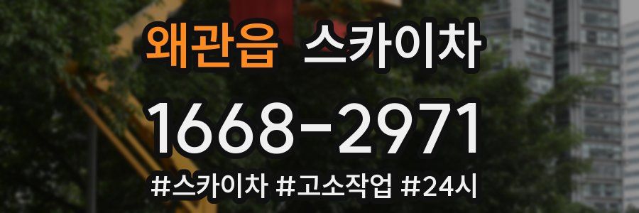 왜관읍 스카이차