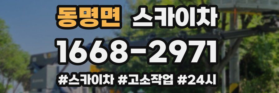 동명면 스카이차