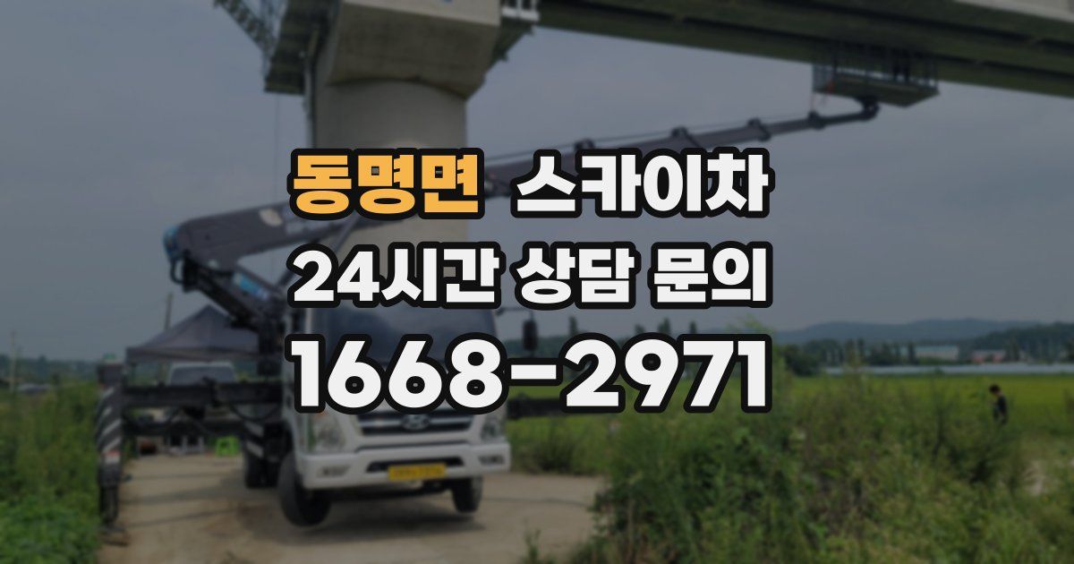 동명면 스카이차