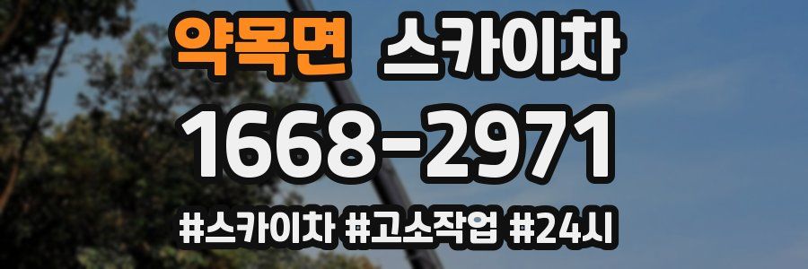 약목면 스카이차