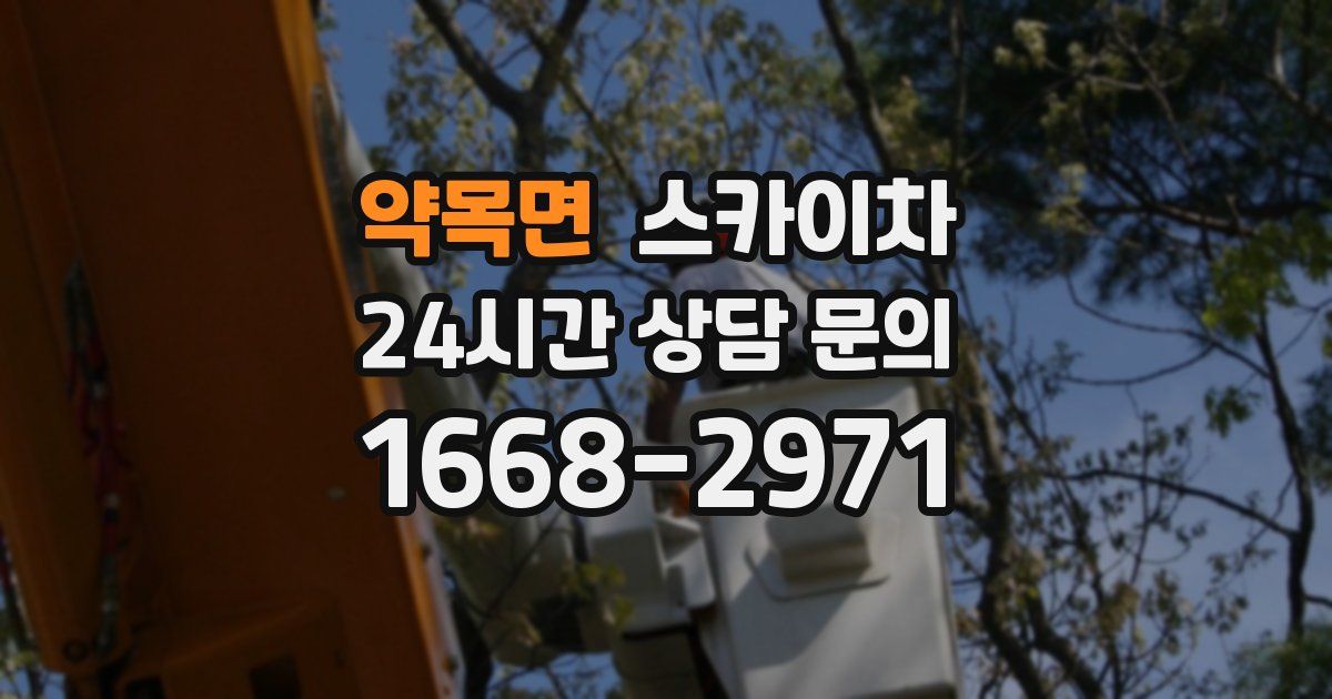 약목면 스카이차