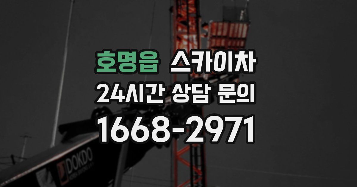 호명읍 스카이차