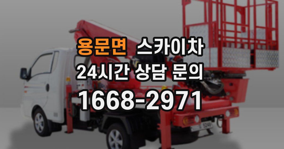 용문면 스카이차