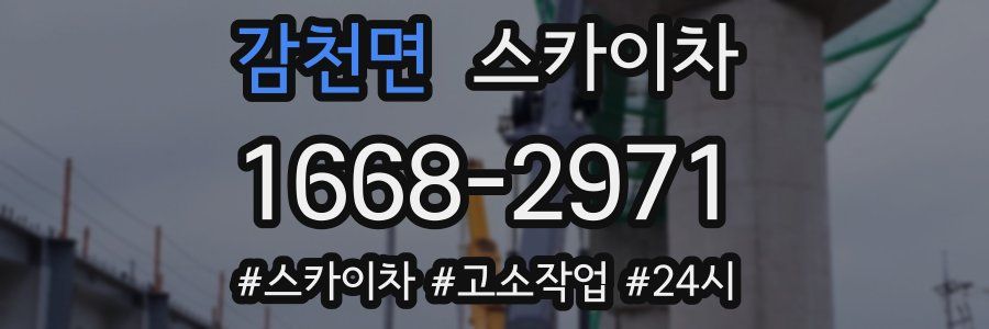 감천면 스카이차