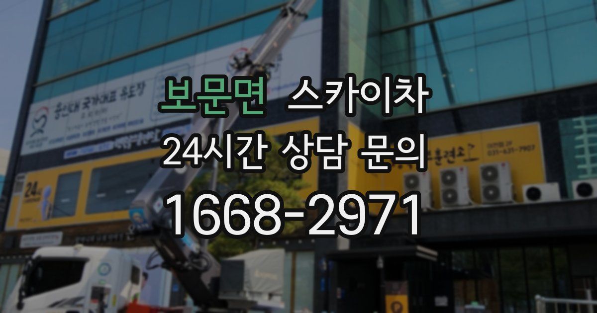 보문면 스카이차