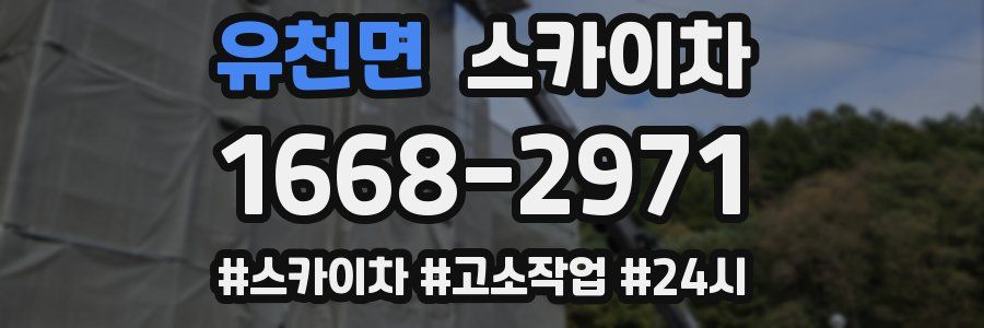 유천면 스카이차