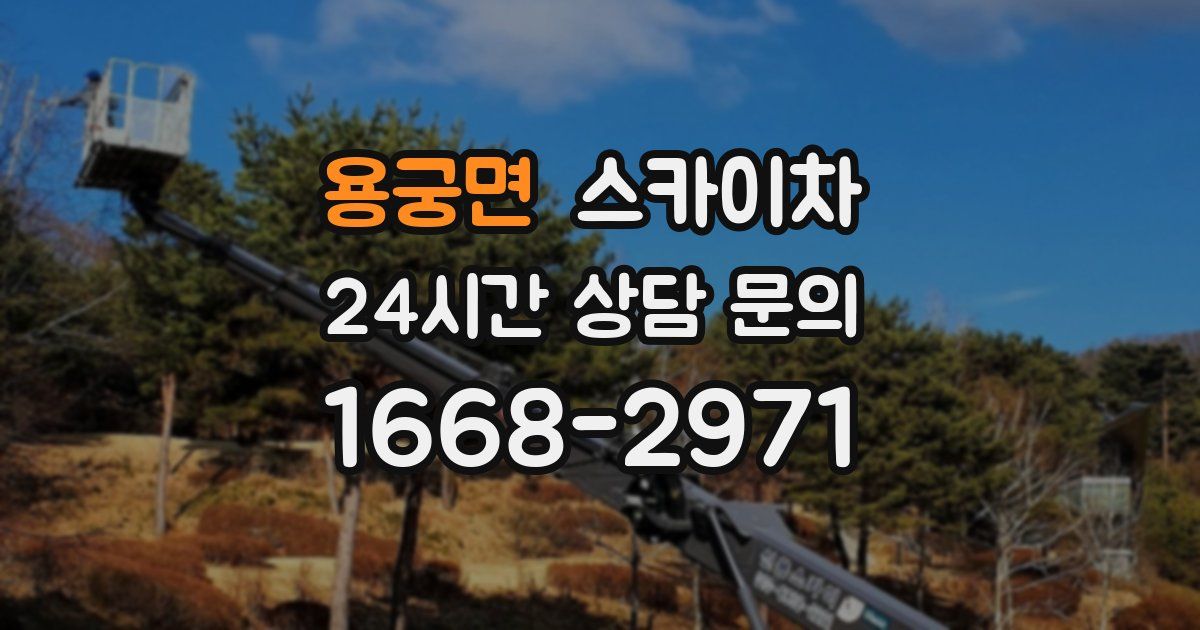 용궁면 스카이차