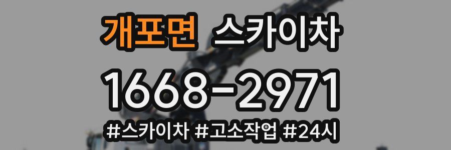 개포면 스카이차