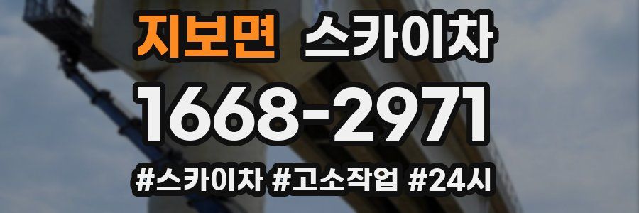 지보면 스카이차