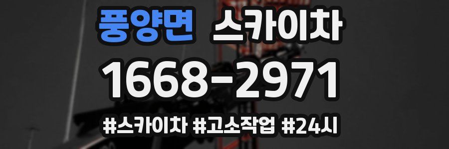 풍양면 스카이차