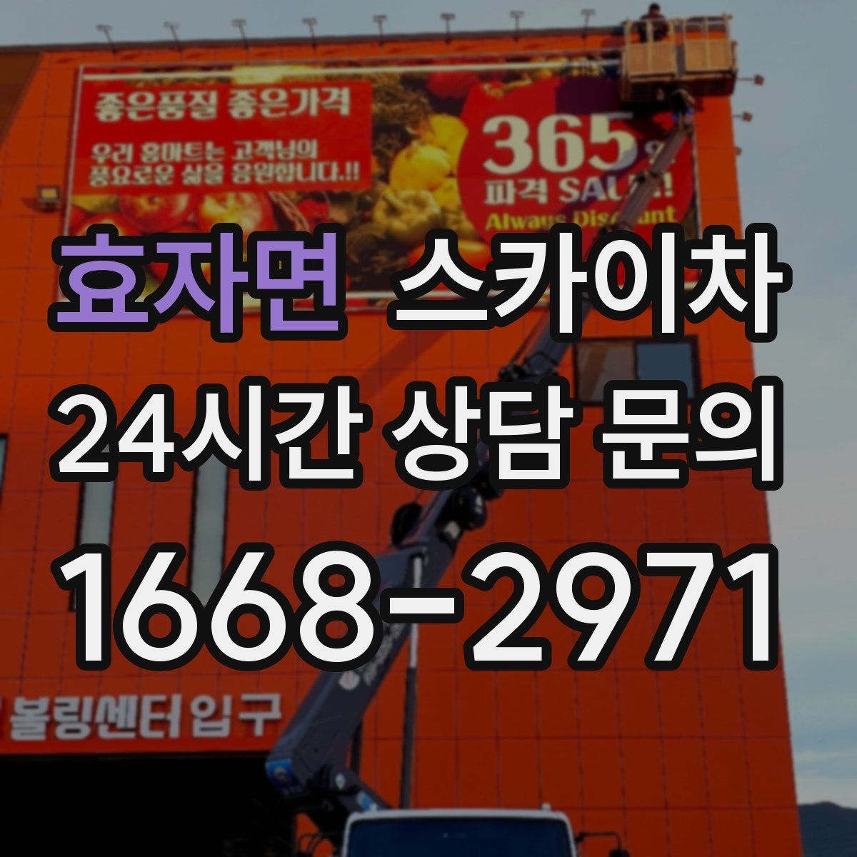 효자면 스카이차