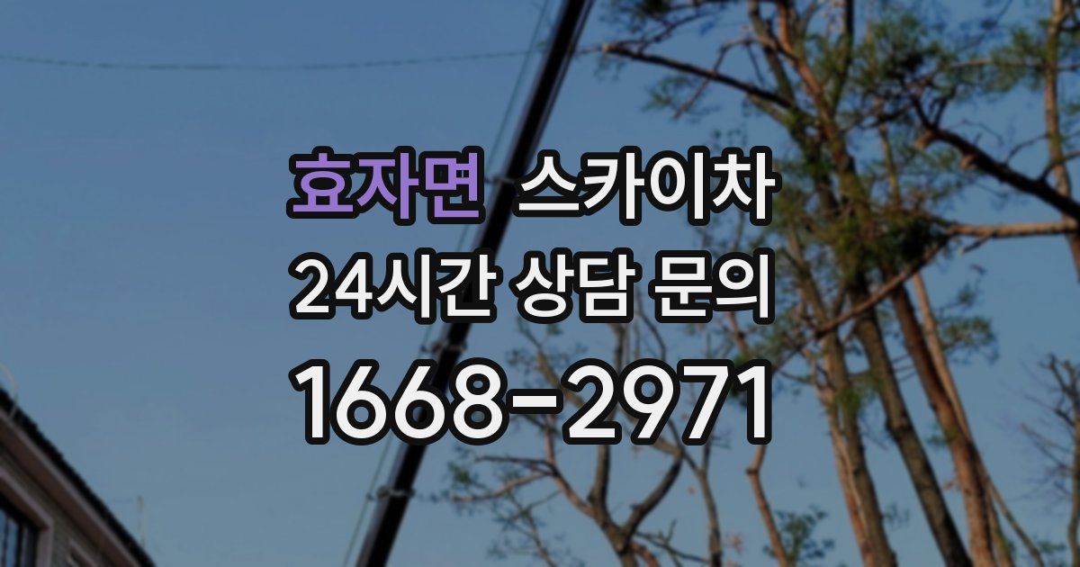 효자면 스카이차