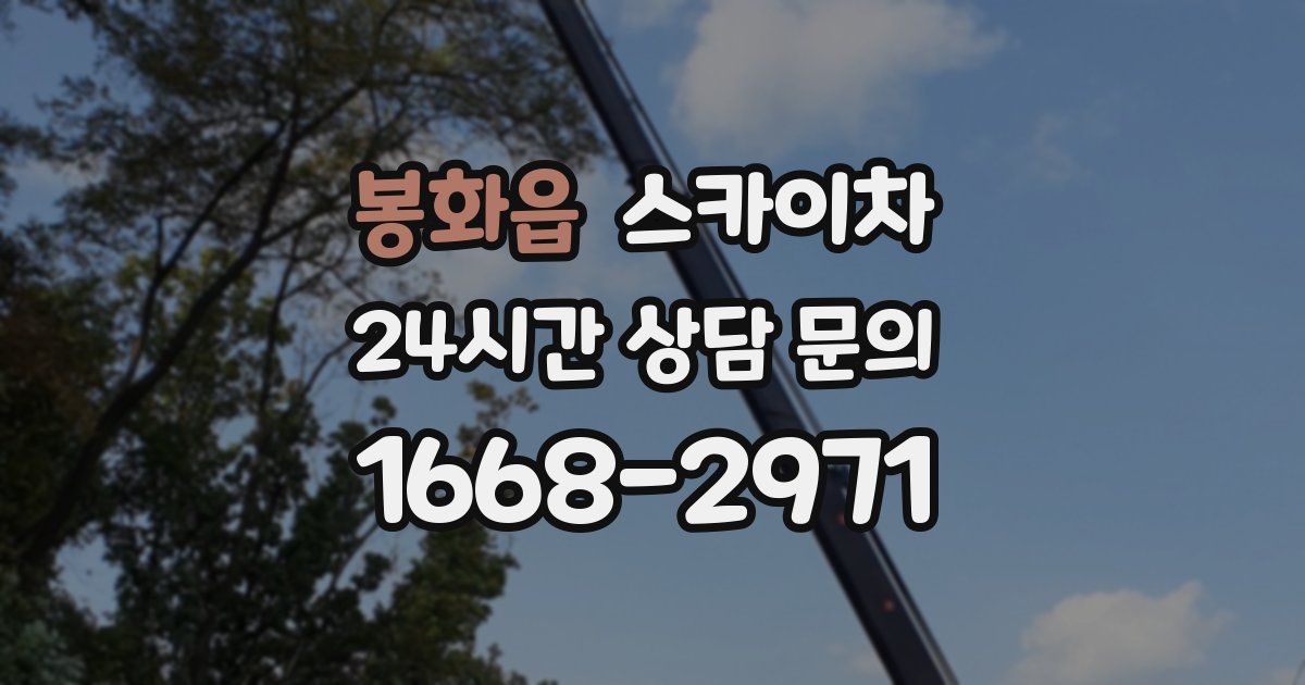 봉화읍 스카이차