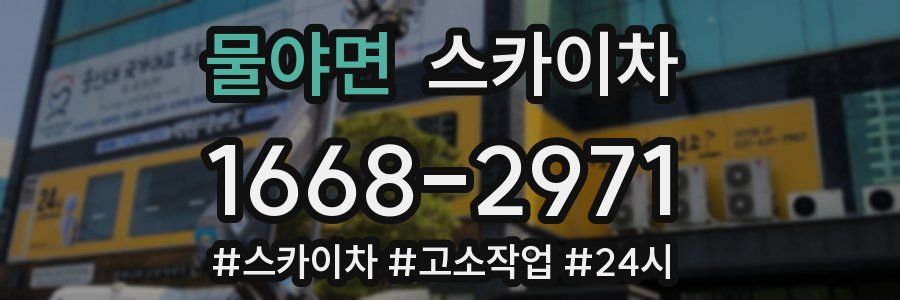 물야면 스카이차