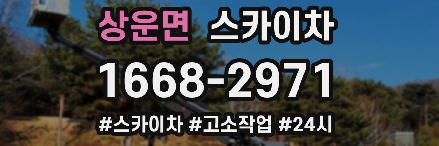 상운면 스카이차