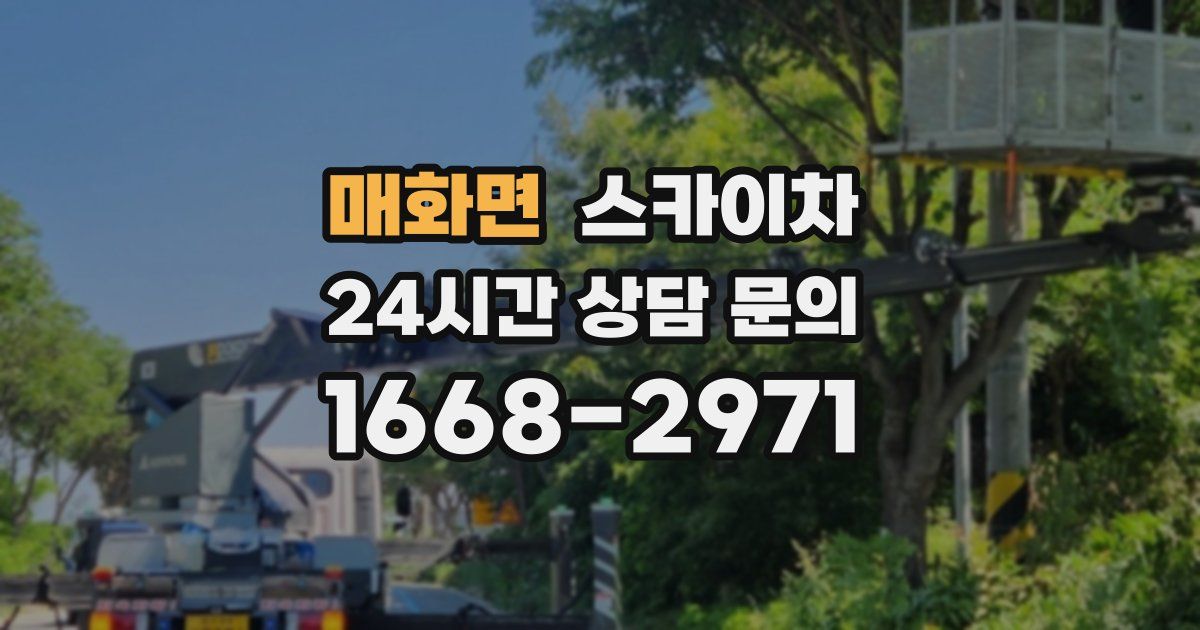 매화면 스카이차