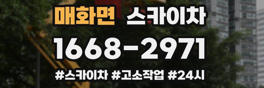 매화면 스카이차