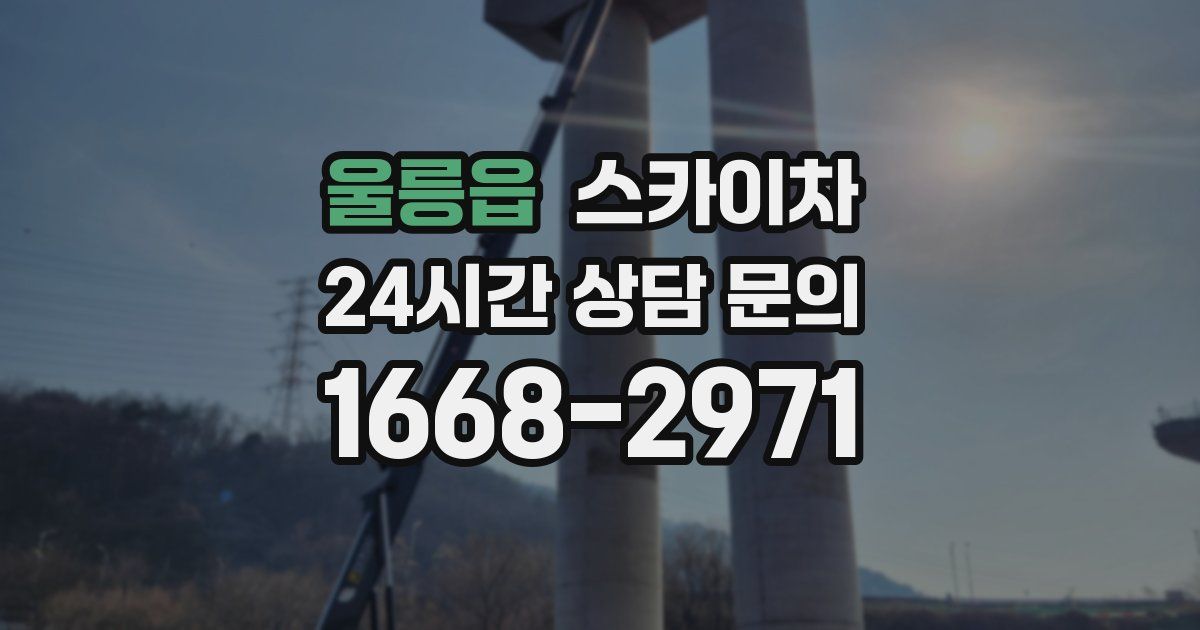 울릉읍 스카이차