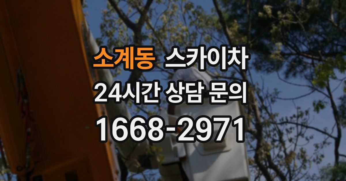 소계동 스카이차