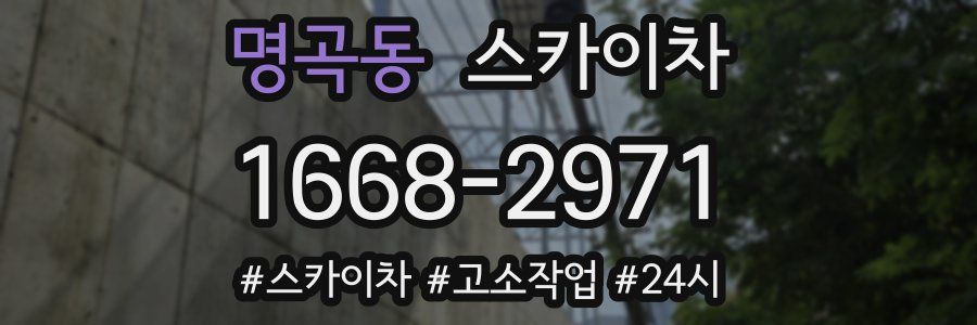 명곡동 스카이차