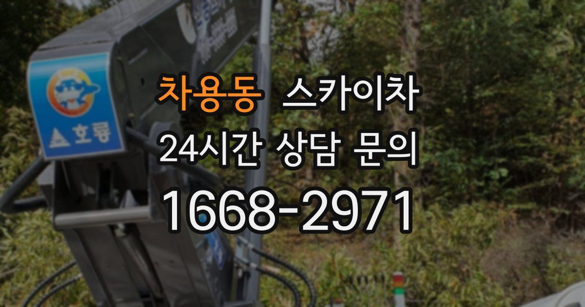 차용동 스카이차