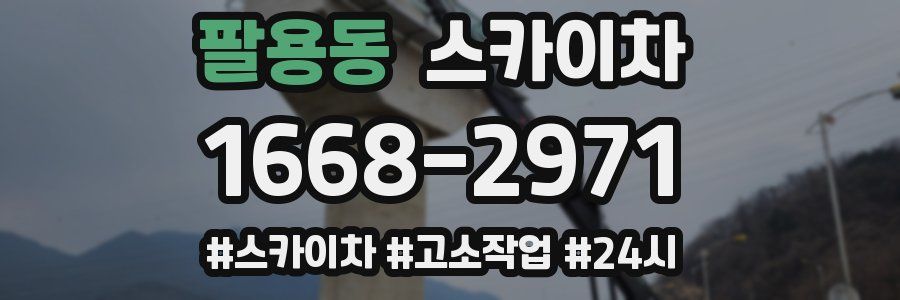 팔용동 스카이차