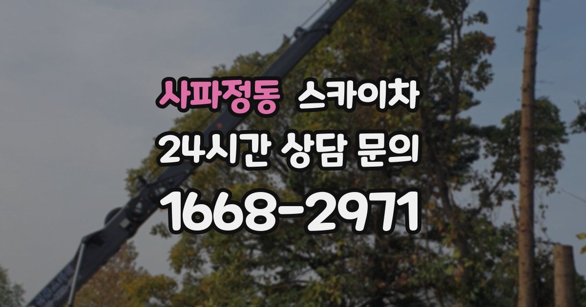 사파정동 스카이차