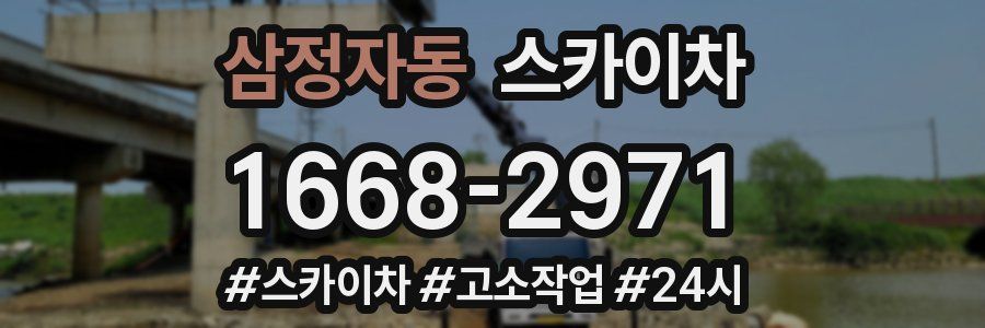 삼정자동 스카이차