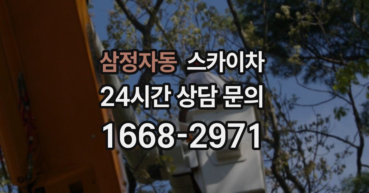 삼정자동 스카이차