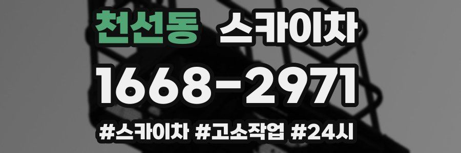 천선동 스카이차