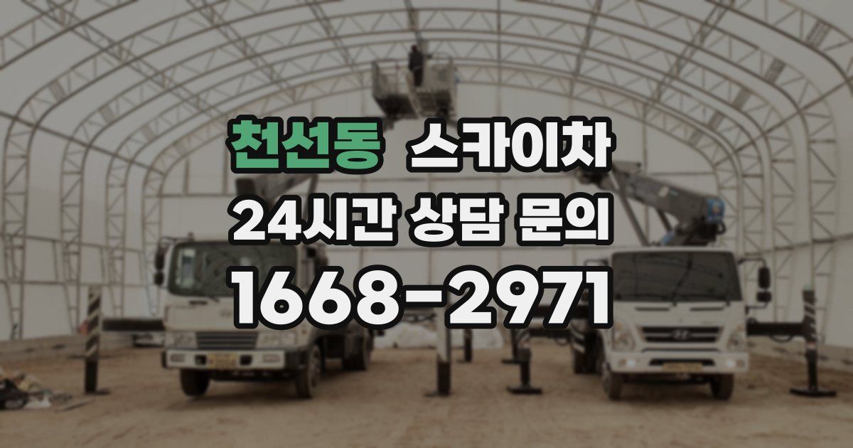 천선동 스카이차